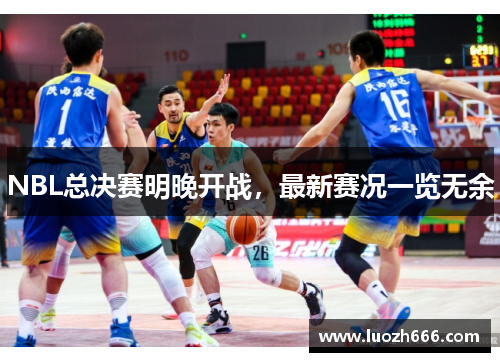 NBL总决赛明晚开战，最新赛况一览无余